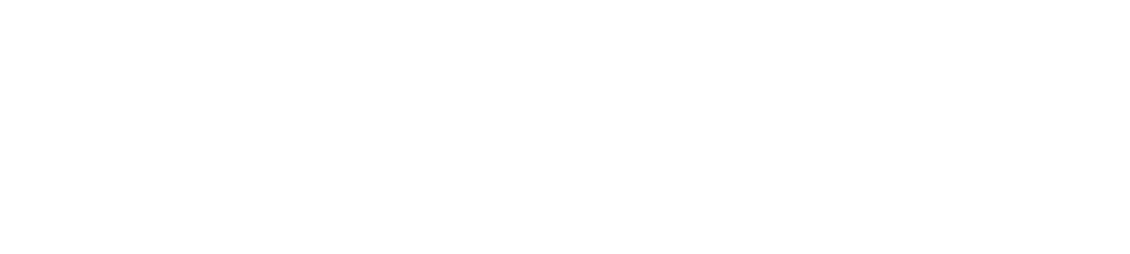 外国人専門の人材紹介なら株式会社TNA